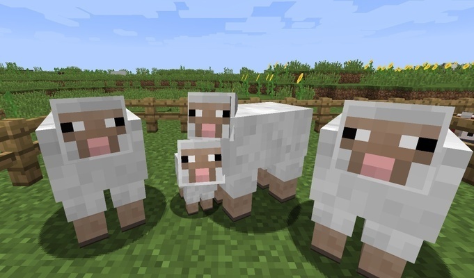 Овцы в Minecraft Pocket Edition 0.15.1 Овцы в Minecraft Pocket Edition 0.15.1