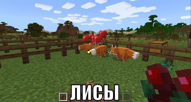 Лисы в Майнкрафт БЕ 1.13.0.5 Лисы в Майнкрафт Бедрок Эдишн 1.13.0.5