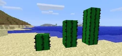 A kaktuszok okozta károk a Minecraft Pocket Edition -ben 0.15.1