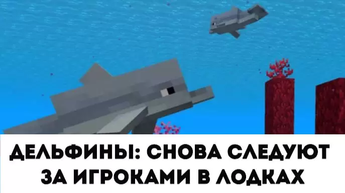 Дельфины в Minecraft 1.13.0.4