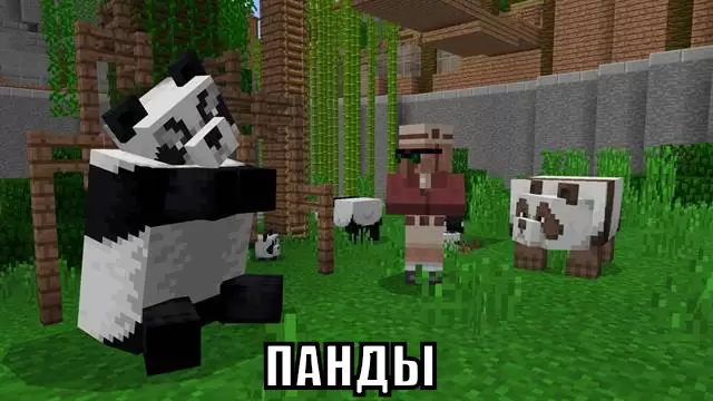 Pandas i Minecraft PE 1.8.1