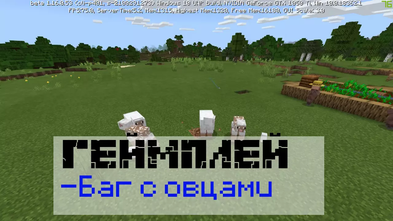 Bogár nyíró juhokkal a Minecraft PE 1.16.0.53 -ban