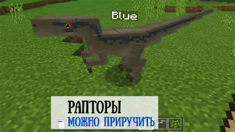 Töltse le a modot a raptorokhoz a Minecraft PE számára