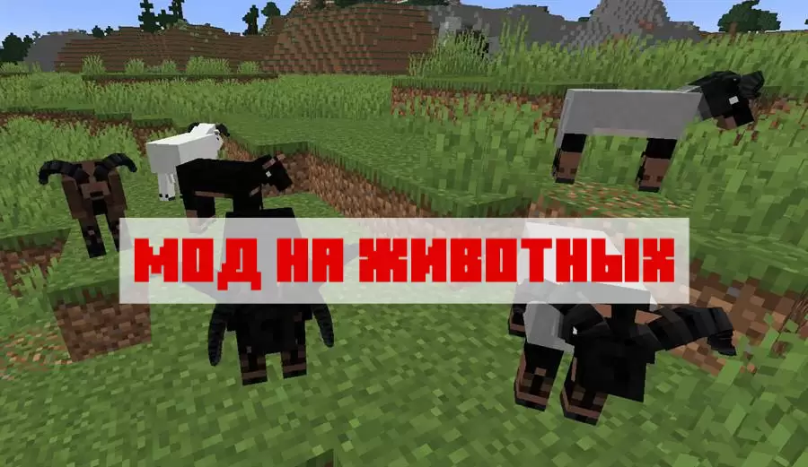 Töltse le az állatok modját a Minecraft PE -hez