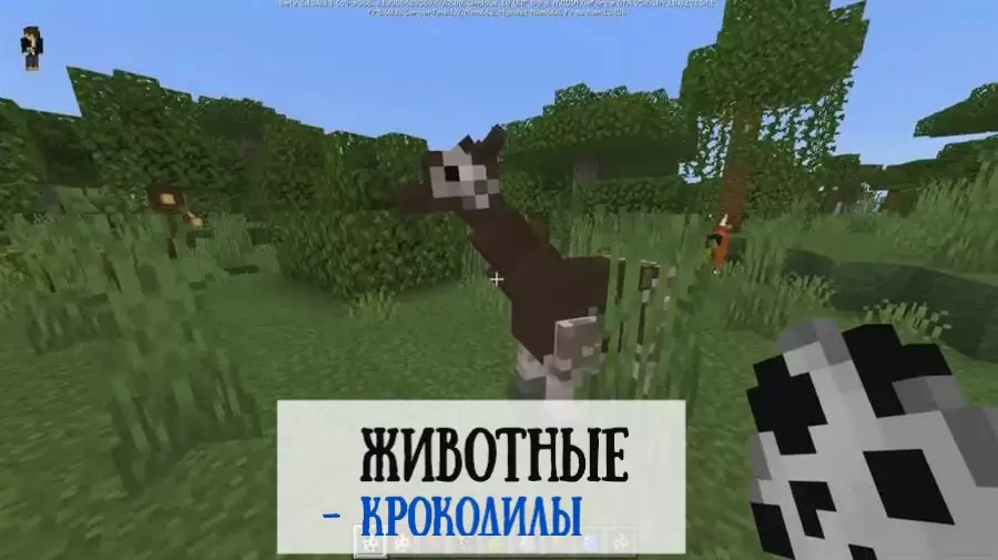 Töltse le az állatok modját a Minecraft PE -ben