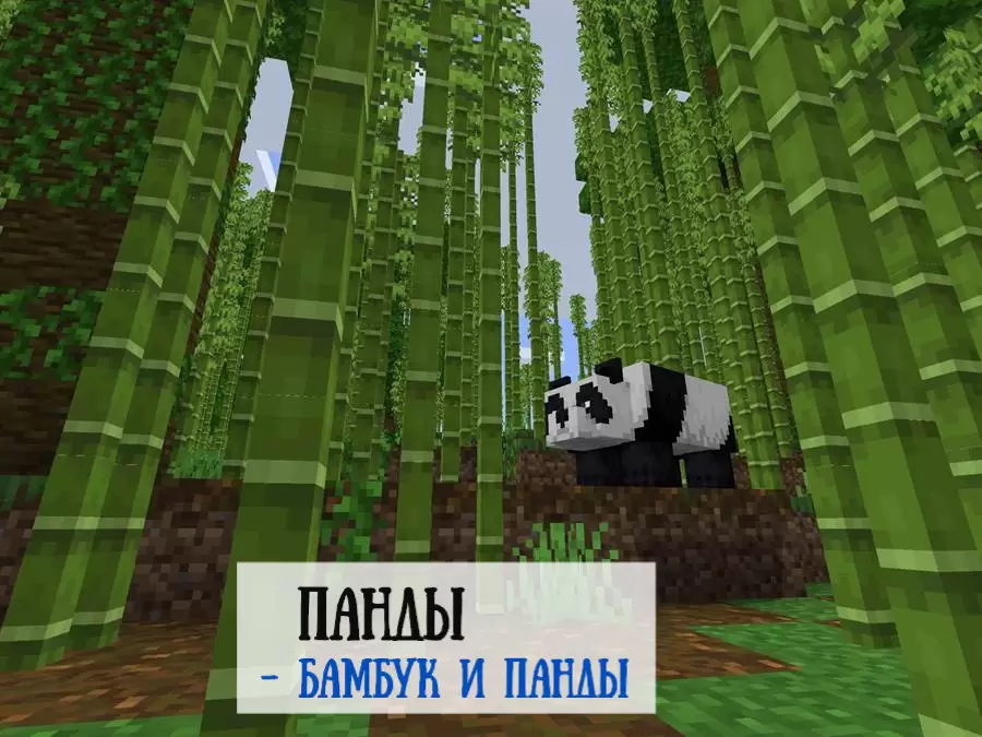 Панды и бамбук на Майнкрафт ПЕ