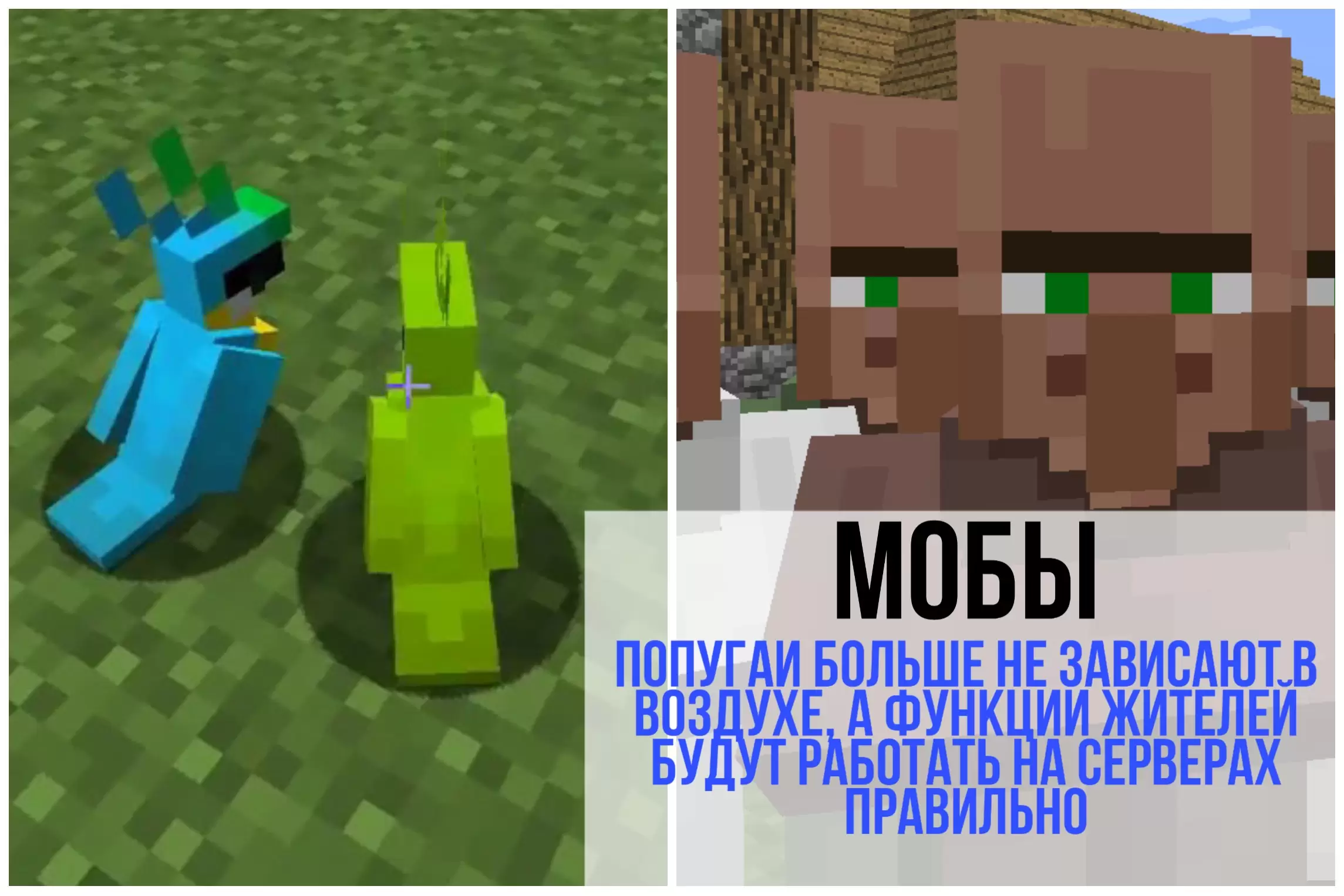 Mobok a Minecraft PE 1.16.0.61 -ban