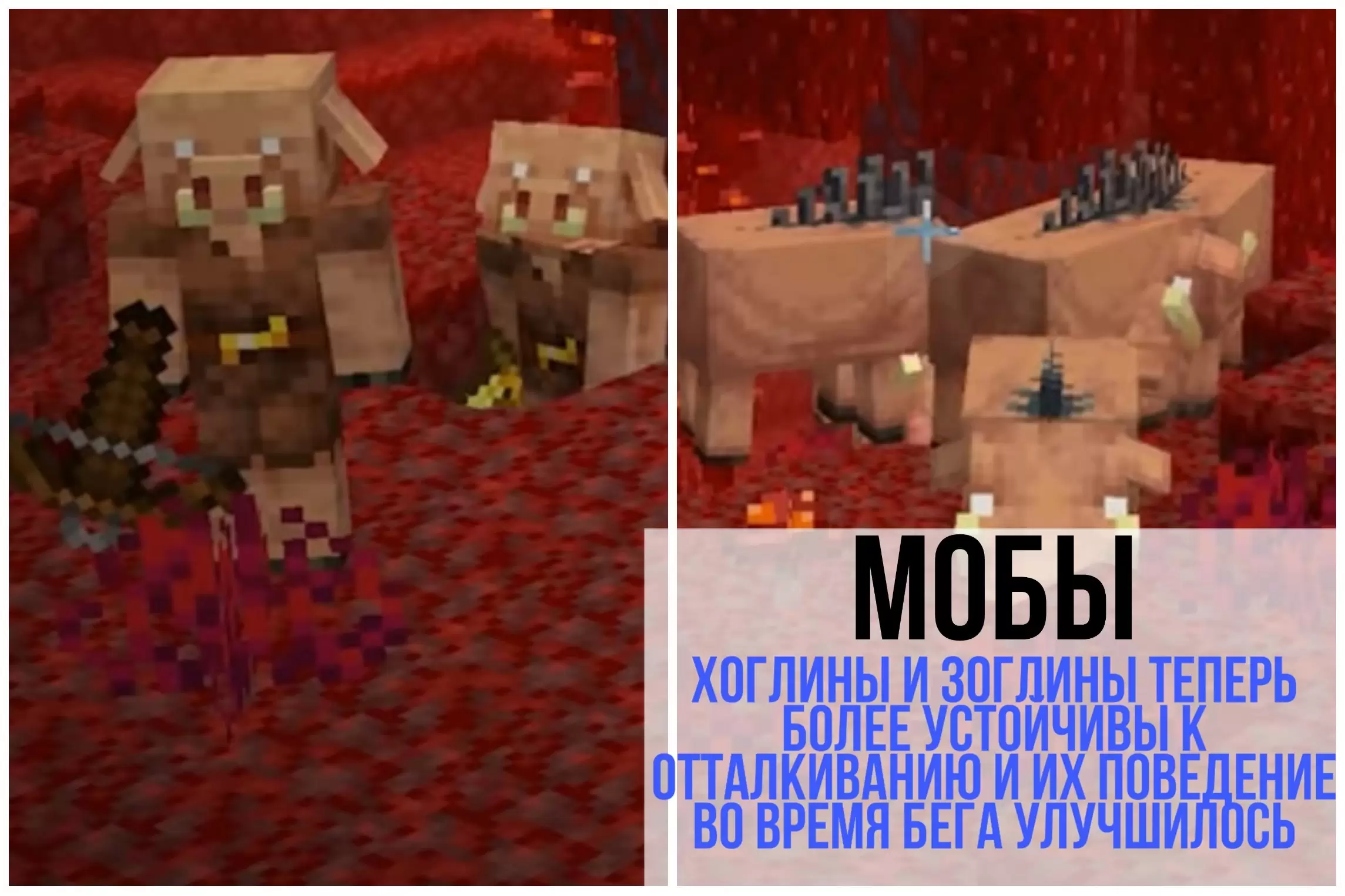 Mobok a Minecraftban 1.16.0.63
