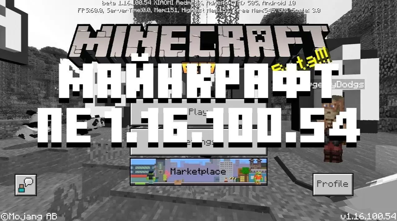 Letöltés Minecraft 1.16.100.54