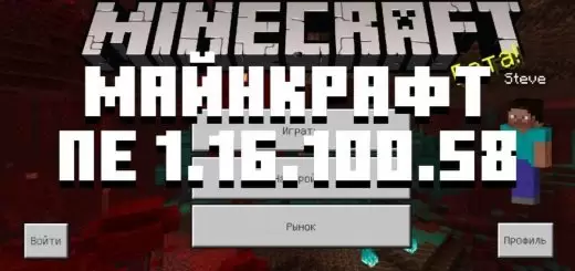 Letöltés Minecraft 1.16.100.58