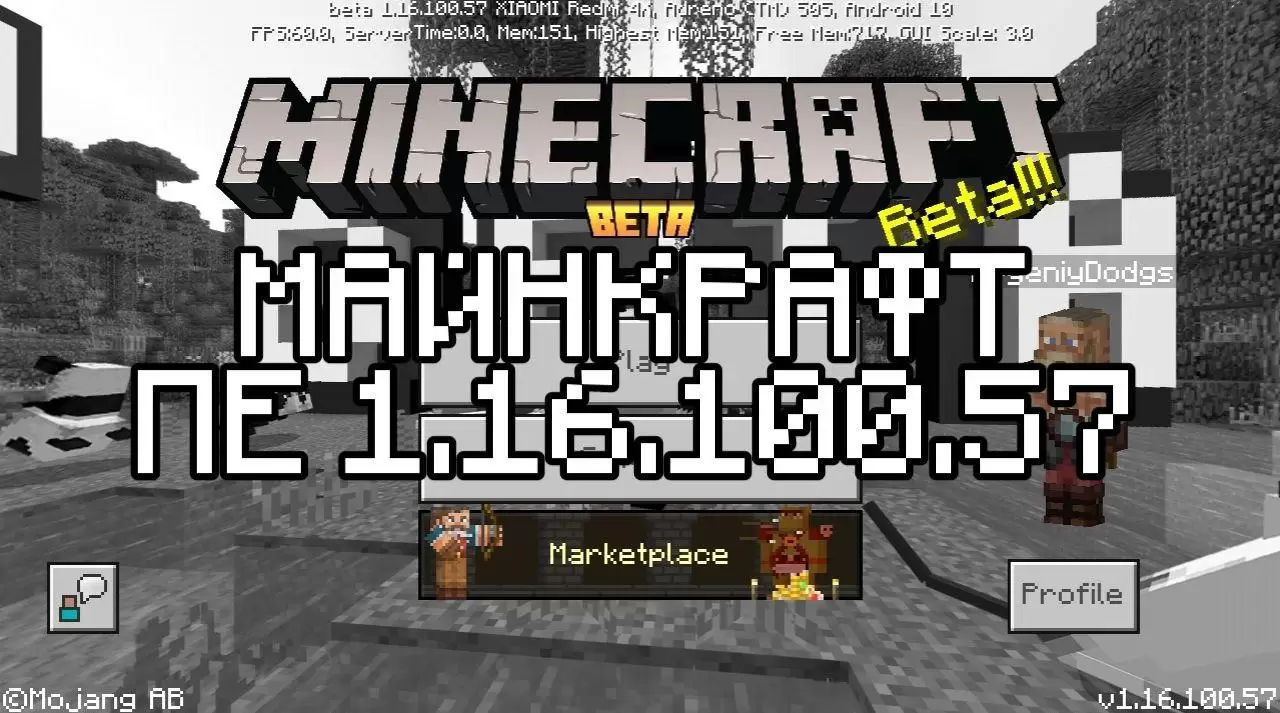 Minecraft ബെഡ്‌റോക്ക് 1.16.100.57