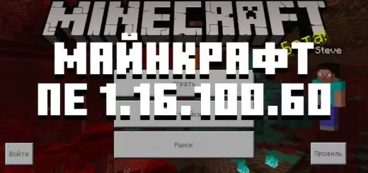 Minecraft 1.16.100.60 ഡൗൺലോഡ് ചെയ്യുക