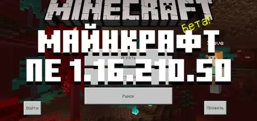 Minecraft 1.16.210.50