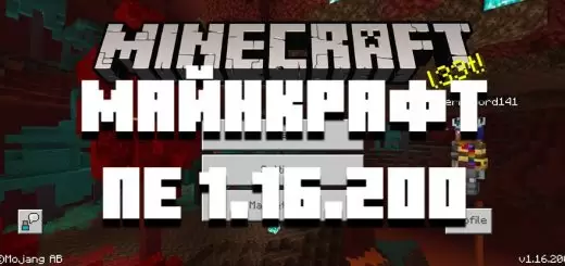 Minecraft 1.16.200 ഡൗൺലോഡ് ചെയ്യുക