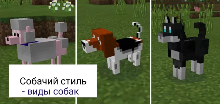 Kutyatípusok divatban a Minecraft PE számára