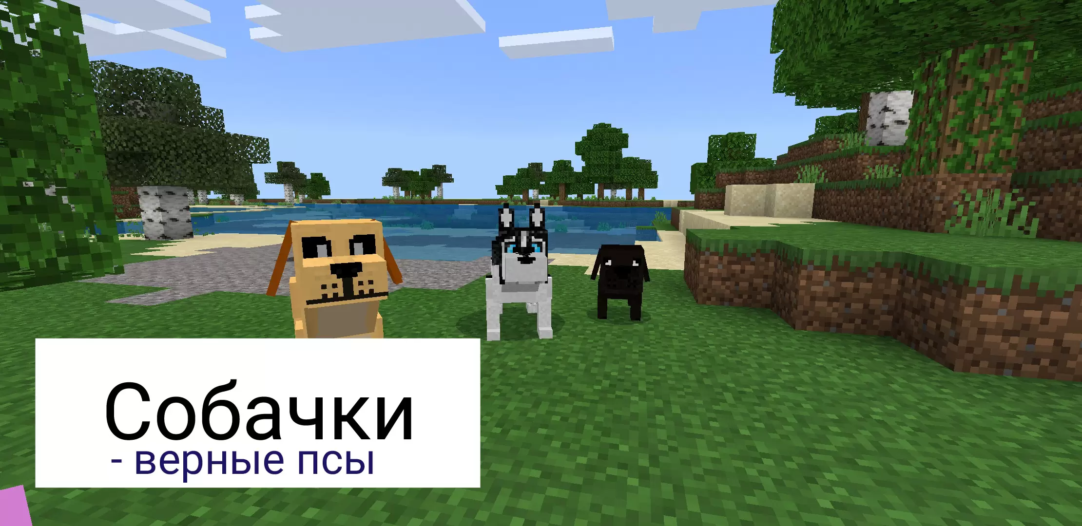 Ištikimi šunys madoje Minecraft PE