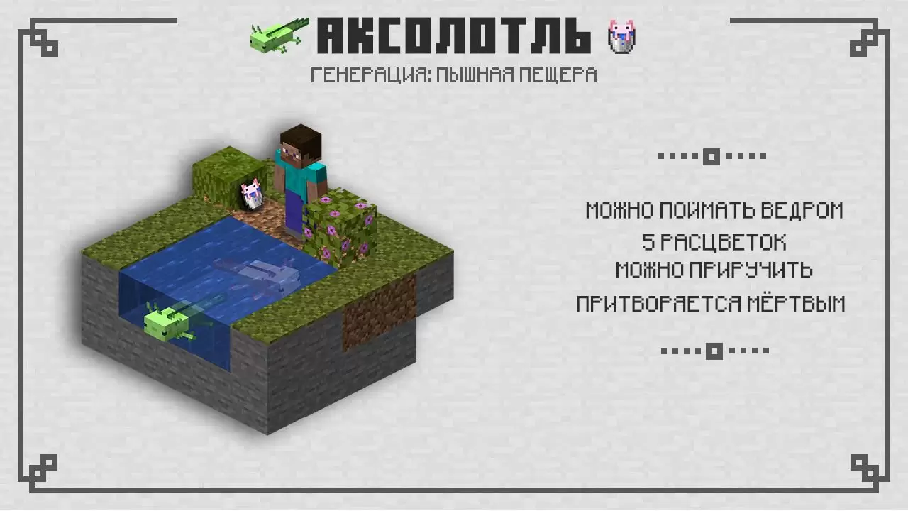 Axolotl a Minecraftban 1.16.230.52