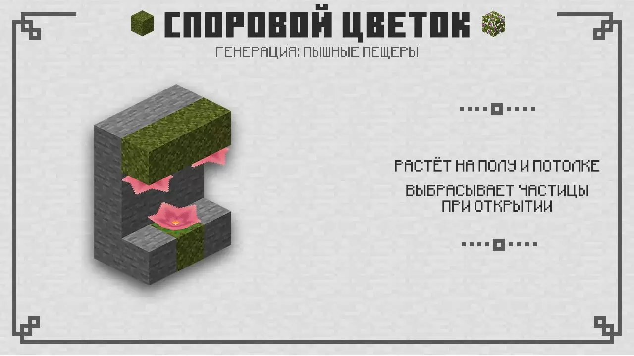 Minecraft PE 1.16.230.52 ലെ ബീജ പുഷ്പം