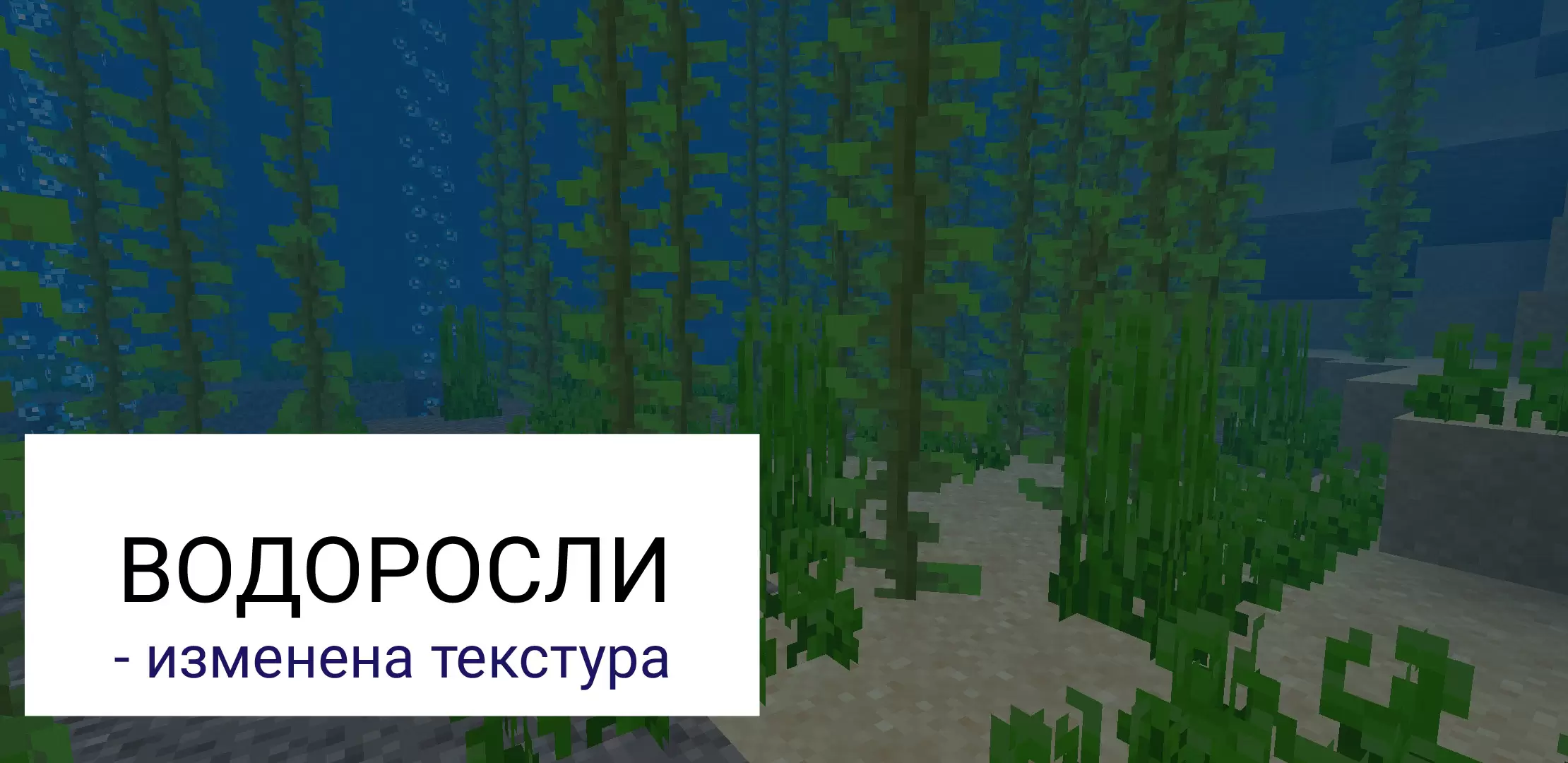 Az algák új textúrái a Minecraftban 1.12.1