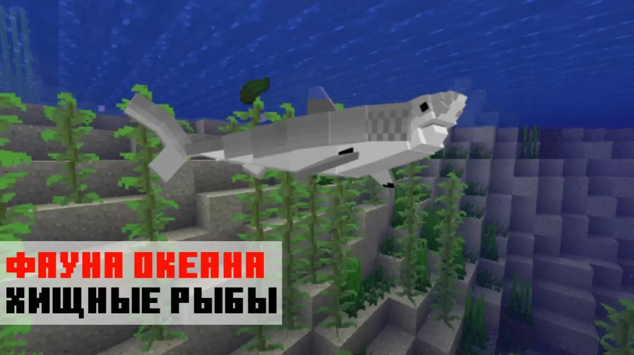Minecraft PE साठी शार्क मोडमधील शिकारी मासे
